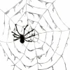 Gigantiskt spindelnät med spindel 290 cm