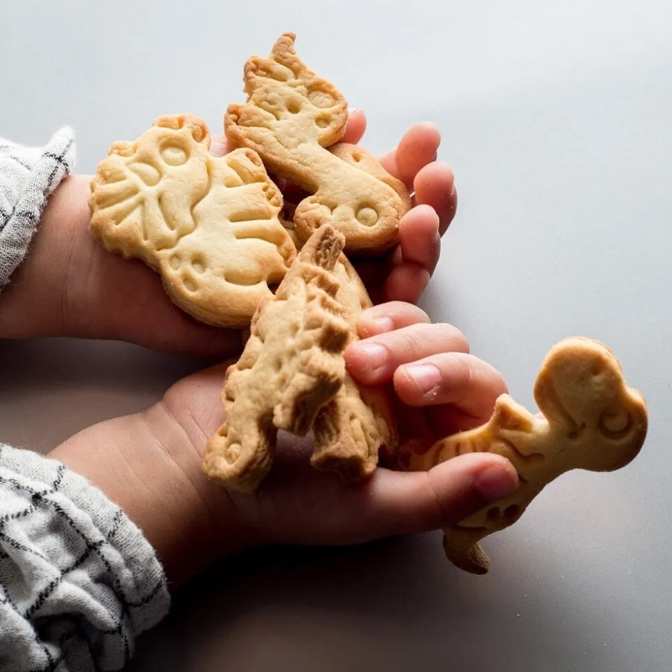 Kakformar Dinosaurier 2-pack